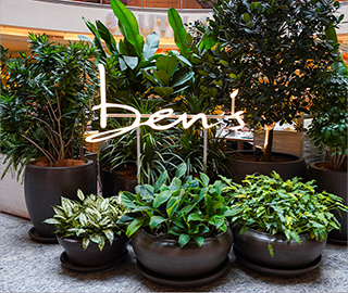 Ben's